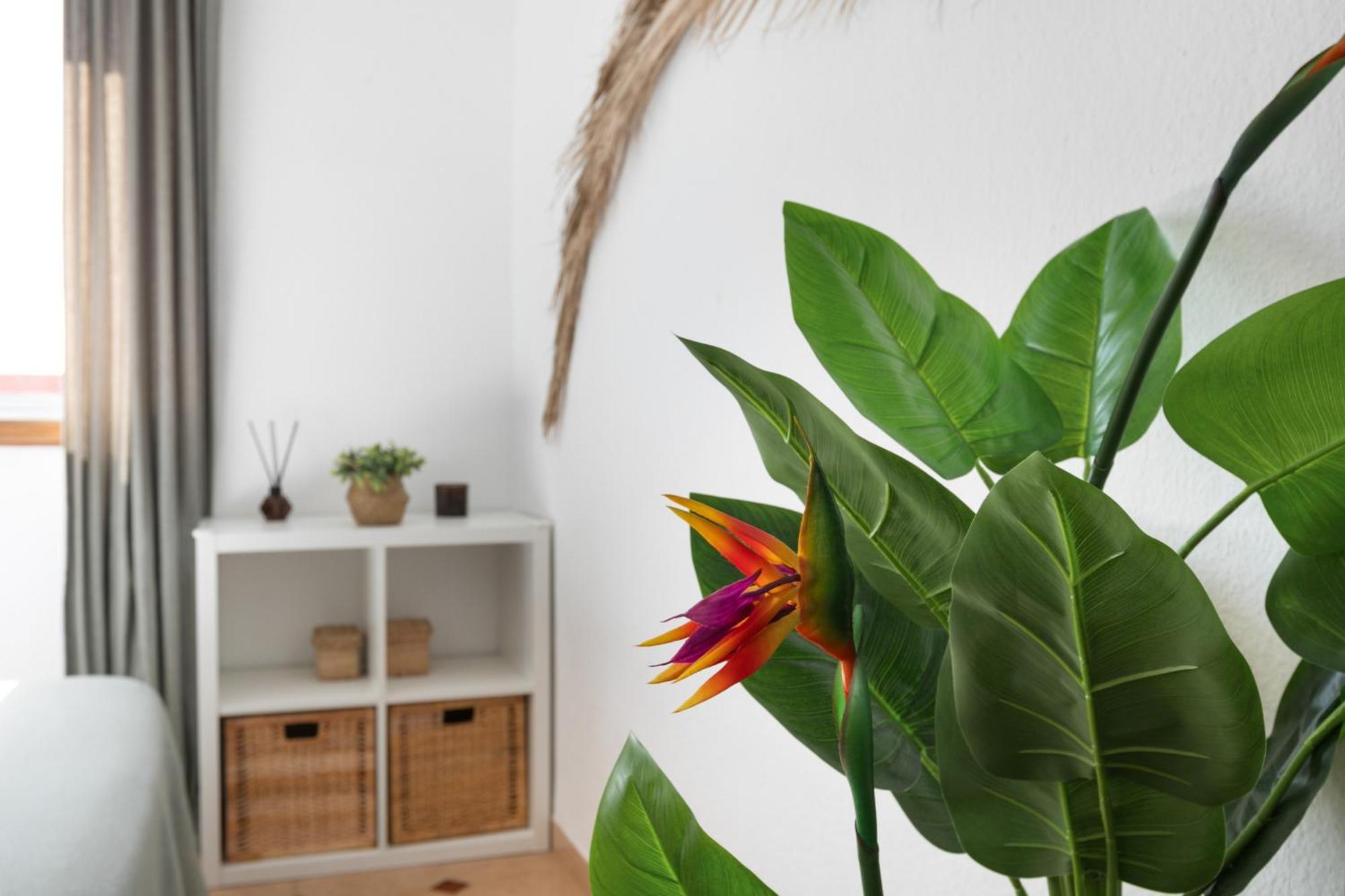 Casa Camacho Lägenhet La Cuesta  Exteriör bild